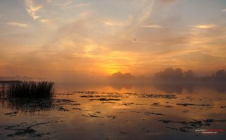 Туманный рассвет на берегу реки Дубна.