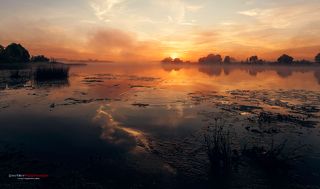 Туманный рассвет на берегу реки Дубна.