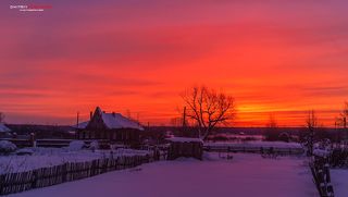 Московская область,Талдомский район,деревня Танино.