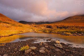 Ещё минут через двадцать в просвет хлынул свет заходящего солнца, придав всему вокруг необычно тёплые оттенки