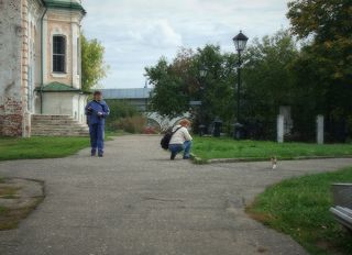 Все фотографы снимают кота