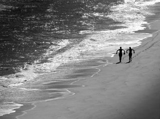 Хищные птички