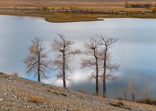 03 … да несколько выразительных деревьев на переднем плане, …