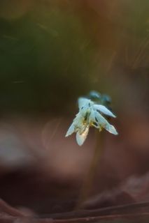 Пробуждение.