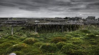 Рядом с каждым домом располагаются «вешала», на которых сушится ламинария.