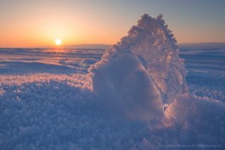 Ледяной росток...