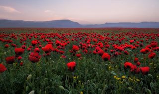 Где-то между Махачкалой и Кизилюртом.