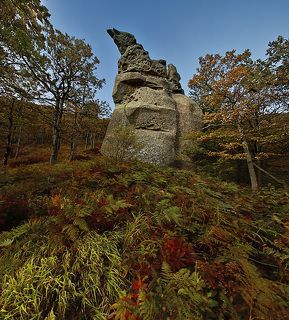 На южных склонах массива горы Индюк, который расположен в Туапсинском районе, Краснодарского края, \