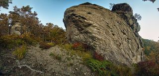 На некоторых \