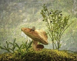 Высоко сижу, далеко гляжу!