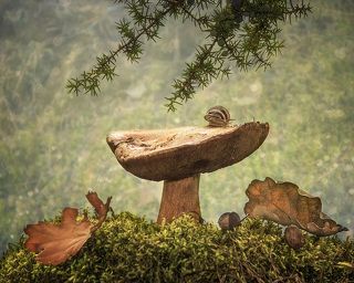 Улиткины слезки: как же я теперь слезу?