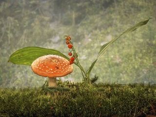 Ядовитости притягиваются.