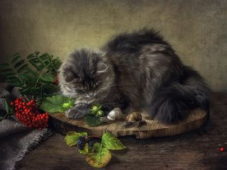 -Куда ползешь? Шлагбаум!