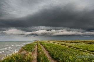 4 июня 2015-го