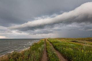 4 июня 2015-го