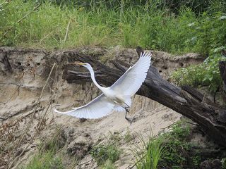 Танец вприсядку