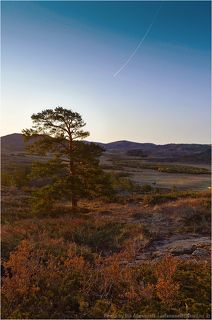 Это не искажение - он действительно повернул.