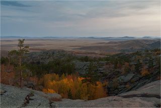 Жизнь на камне