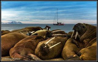 ЧЕЛОВЕК, ВОТ НА ЭТОЙ ПОСУДИНЕ ПРИБЫЛ....