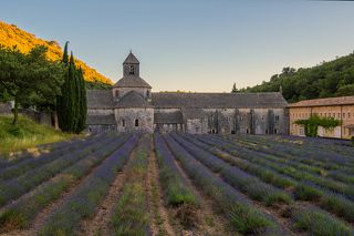 Аббатство Сенанк