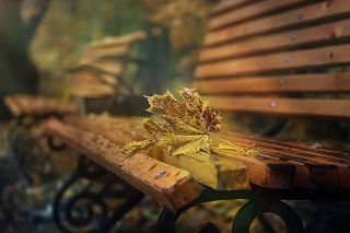 игриво солнце припекает
носы и плечи горожан
флиртуя крутит с бабьим летом
роман