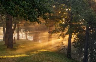 Солнечное утро