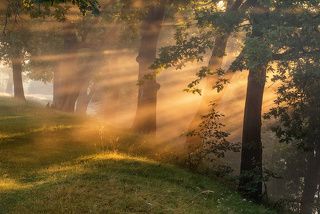 Солнечное утро