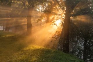 Солнечное утро