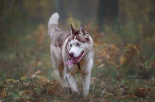 На свободе!