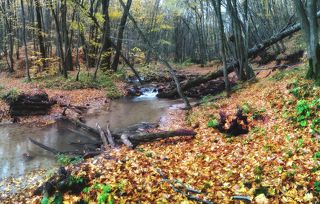 панорамка, камера телефона Nokia X2 , CS 5