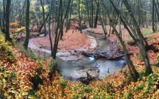 панорамка, камера телефона Nokia X2 , CS 5