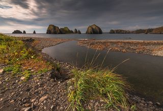 Река, впадающая в Тихий океан