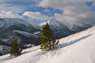 Ну и природа с ее диалогом форм и планов.
