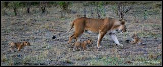 ПРОКАЗНИК. ПРОЦЕСС ВОСПИТАНИЯ