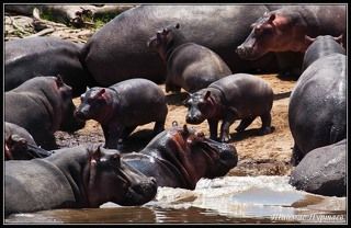 КАК ЗА КАМЕННОЙ СТЕНОЙ