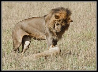 НУ, ЧТО НАЧНЁМ....