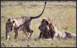 ПОУХАЖИВАЙ ГОСУДАРЬ
