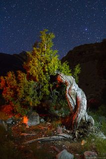 на озере Большое Алло