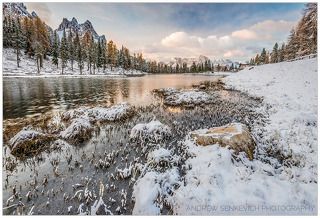 Там же тогда же