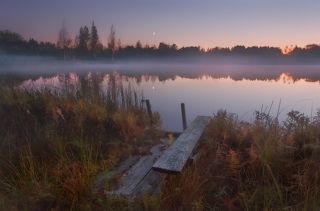 Ночь стремительно опускалась мне на плечи. . .туман с болота потянулся к озеру...ночные звуки неприятно холодили спину. . .но сил уйти от этой красоты не было...