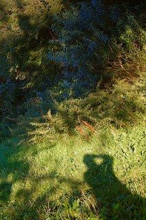 Автор серии тоже набросавший... много теней.