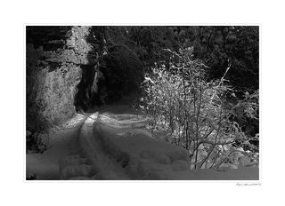 Зимой Гуамское ущелье просто завораживает,лучи света как спотом вырезают из темноты дорогу,кусты присыпанные снегом,стены ущелья.Зима 2005 год,мороз 20 градусов,утро.