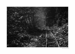 Утро-самое время для съёмок ущелья:мокрая листва отражает лучи света,воздух светится,нет туристов и не ходит мотодрезина.