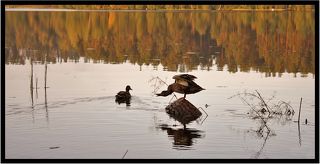 Утренняя зарядка