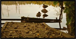 Разговоры с отражением