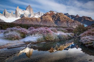 На следущеее утро бахнул небольшой морозец, который покрыл все искращимся инеем. Этот иней как потом оказалось послужил началом перемены цвета листвы от буро зеленого до красно-оранжевого.