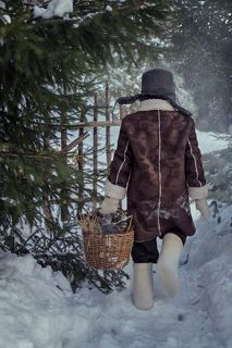 Зимняя прогулка