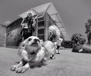 Вот я какая…!