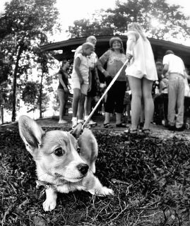 А я гулять хочу…