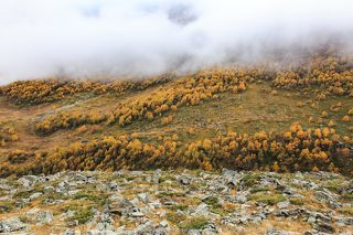 Харесское ущелье, река Урух, Северная Осетия
